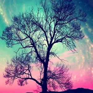 Meet your Posher, Sabrina